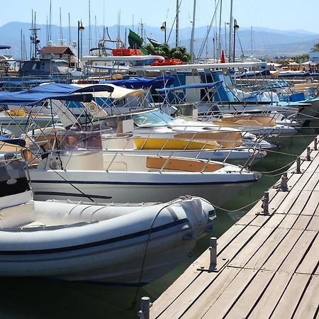 Adamou Gardens Leilighet Paphos Eksteriør bilde